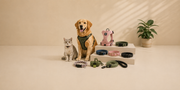 Pet Collars, Harnesses & Accessories
