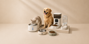 Pet Drinking & Feeding