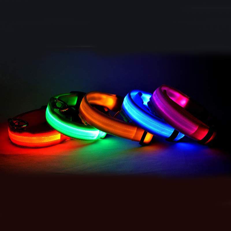 Rechargeable LED Dog Safety Collar – Light-Up Night Walking Collar