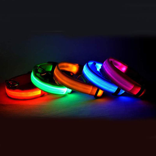 Rechargeable LED Dog Safety Collar – Light-Up Night Walking Collar