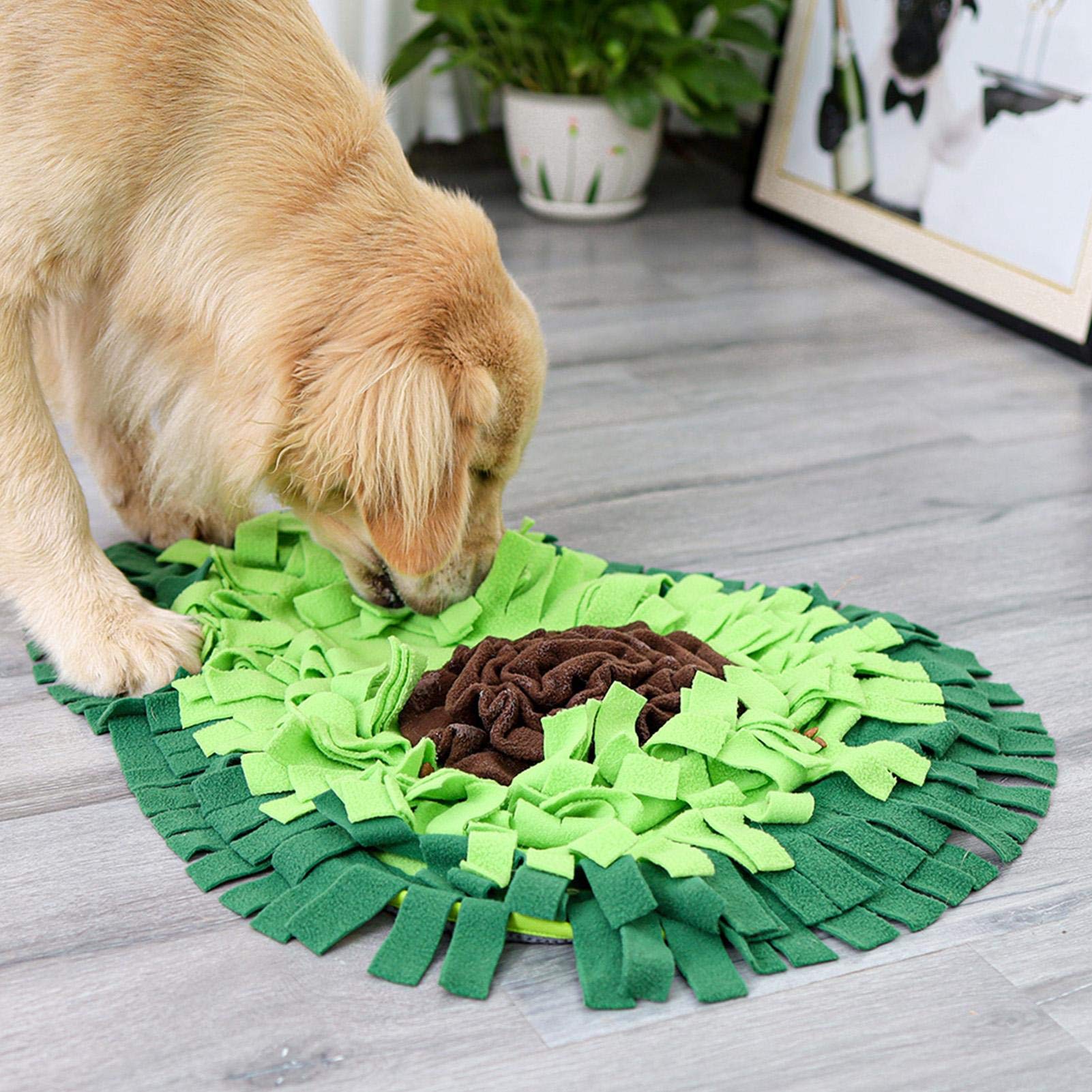 Interactive Dog Snuffle Mat – Slow Feeder & Enrichment Puzzle