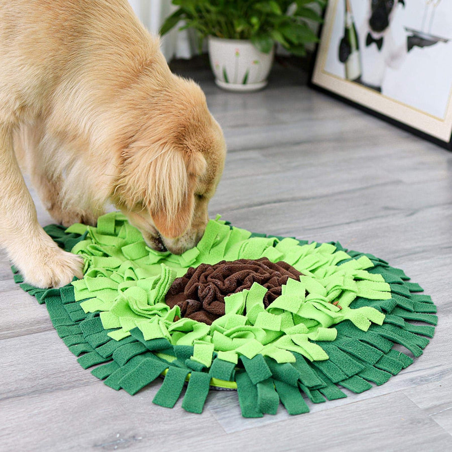Interactive Dog Snuffle Mat – Slow Feeder & Enrichment Puzzle