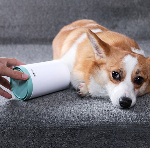 Dog Paw Cleaner Cup – Soft Silicone Paw Washing & Cleaning Tool