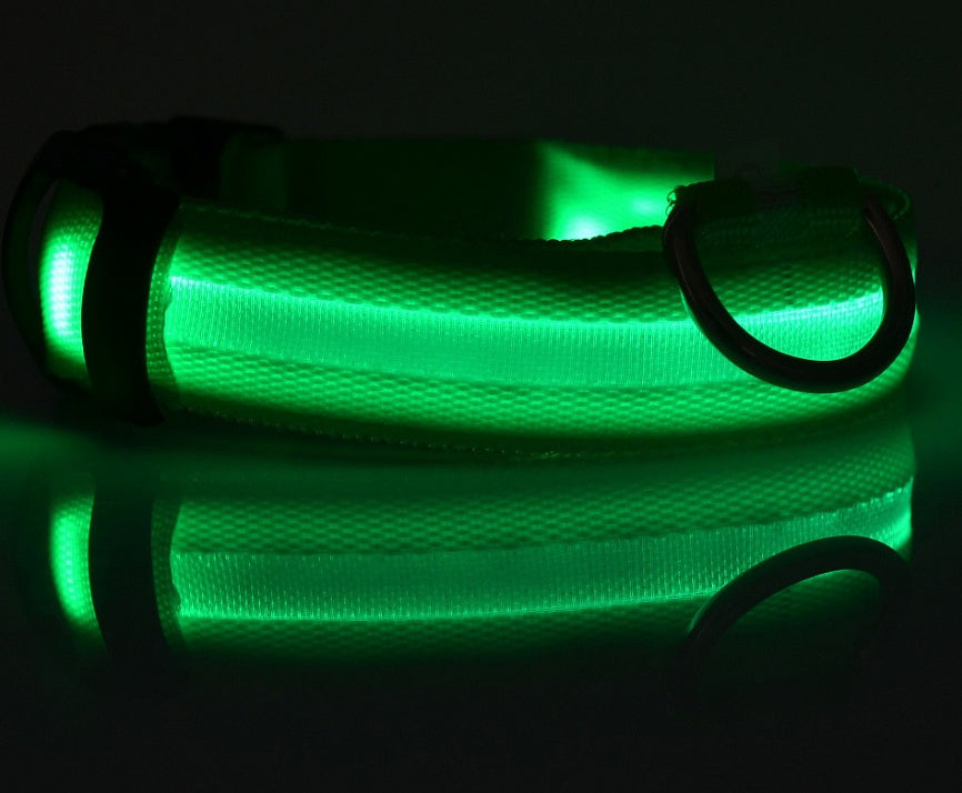 Rechargeable LED Dog Safety Collar – Light-Up Night Walking Collar alternate view